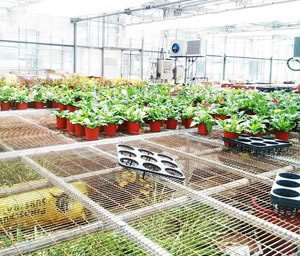 牡丹江植网床使用实例