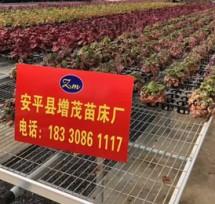 武汉防腐蚀苗床